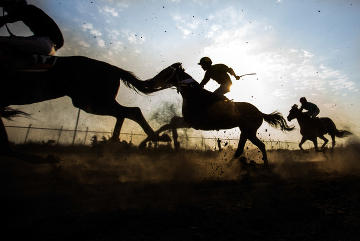 دختر اسب سوار ایرانی در الجزایر پنجم شد