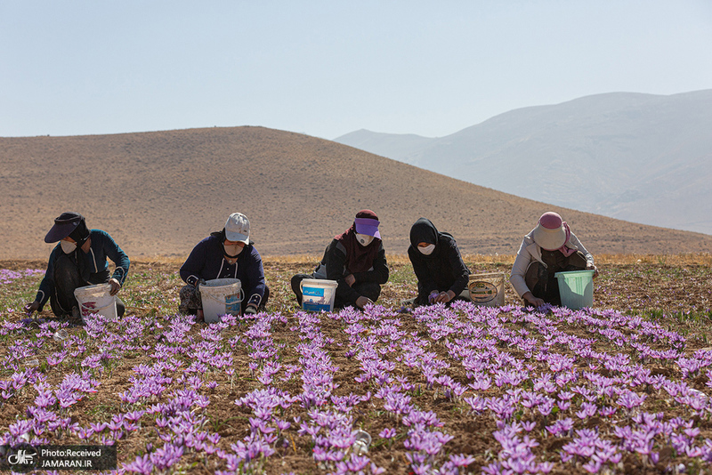 منتخب تصاویر امروز جهان- 8  آبان