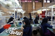 آغاز تولید و بهره برداری از 24 واحد صنعتی در استان بوشهر