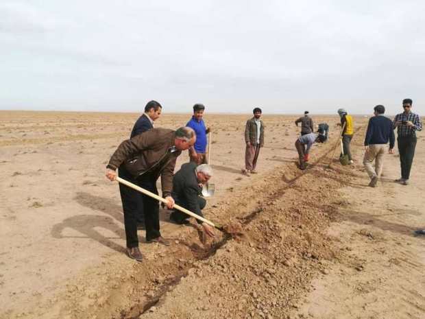 40 هکتار از کانون فرسایش بادی در تایباد نهالکاری شد