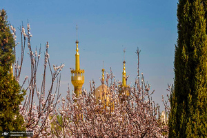 حال و هوای بهاری در حرم مطهر امام خمینی (س)