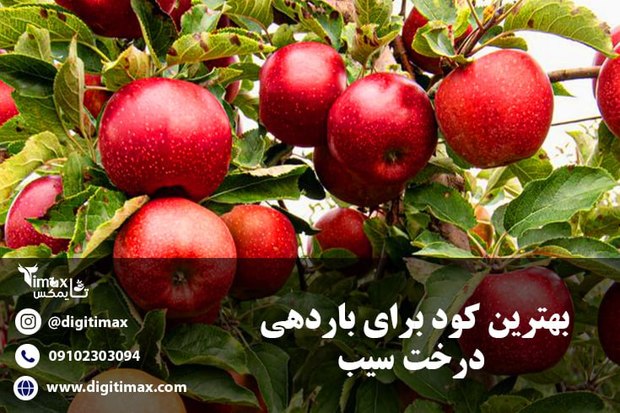 بهترین کود برای باردهی درخت سیب + جدول سم پاشی