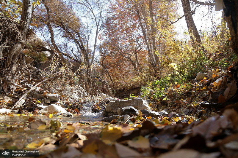 طبیعت پاییزی روستای اَوِل قم