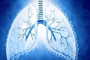 ۵ راه برای پاکسازی ریه‌ها
