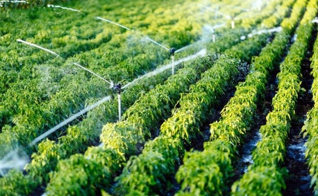 طرح آبیاری نوین در هزار و 950 هکتار مزارع سبزوار اجرا شد