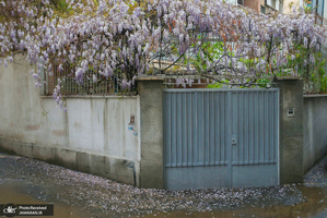 منتخب تصاویر امروز جهان- 31 فروردین 1400