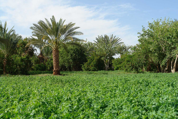 نوروز و رونق گردشگردی در سرزمین افسانه ها و اسطوره ها