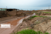 نبود پوشش گیاهی علت ۸۸ درصد خسارت‌های سیلاب در آذربایجان‌شرقی است