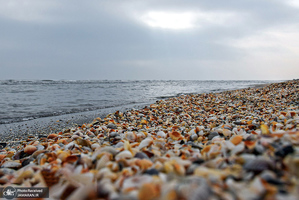 منتخب تصاویر امروز جهان- 7 اردیبهشت 1400