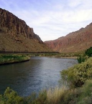 مرگ ماهیان رودخانه اهرچایی به دلیل استفاده بی رویه آب در مزارع