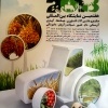 نمایش آخرین دستاوردهای بخش کشاورزی در خوزستان