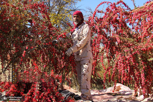 منتخب تصاویر امروز جهان- 8  آبان