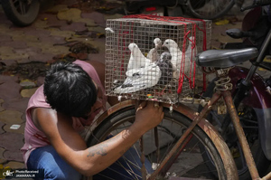 منتخب تصاویر امروز جهان - 27 تیر 1401