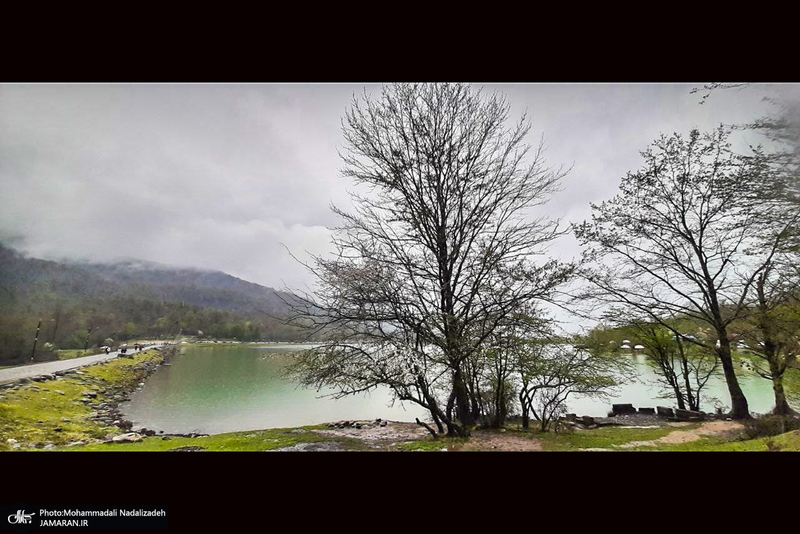 دریاچه آویدر نوشهر