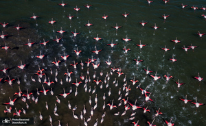 منتخب تصاویر امروز جهان- 16 اسفند