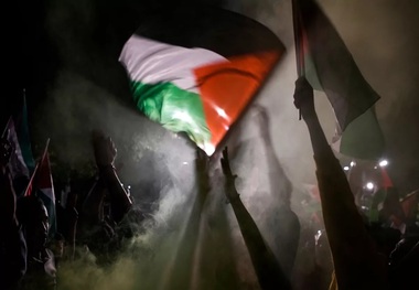 خشونت پلیس هلند علیه یک زن به دلیل حمایت از فلسطین + فیلم