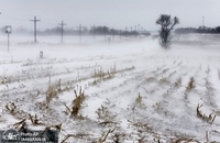 کولاک آمریکا