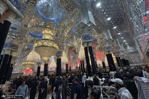 هم قدم با زائران اباعبدالله الحسین (ع)؛ حرم امیر المومنین (ع)
